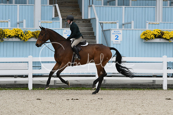 HSM_2622