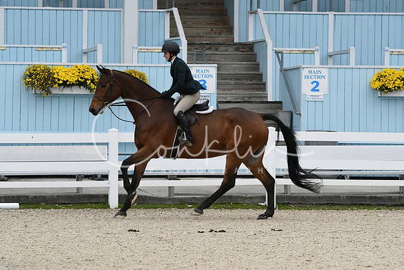 HSM_2623