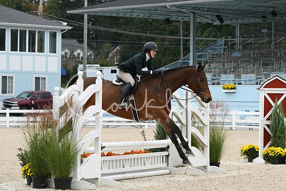 HSM_2625
