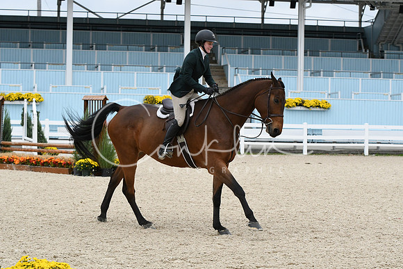 HSM_2633