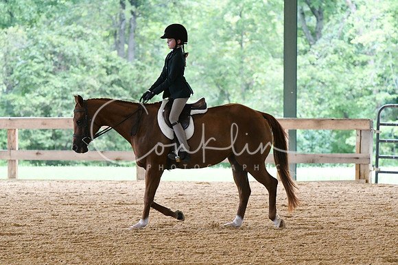 HSM_1450