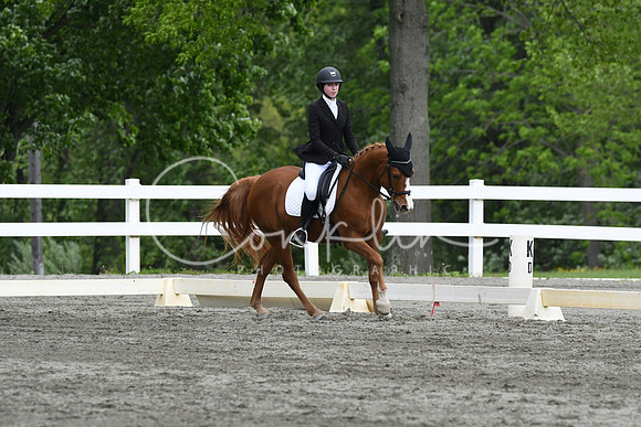 HSM_0628