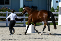 HSM_4517