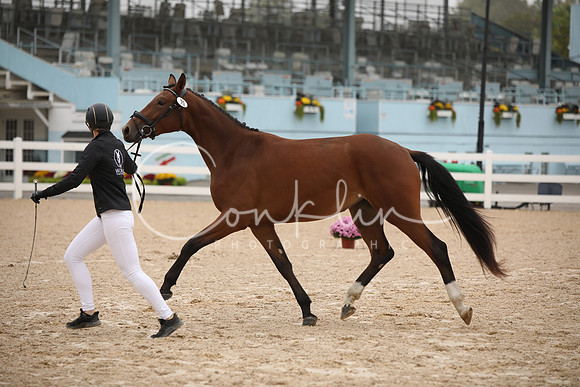 BW240530