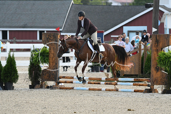 HSM_0881