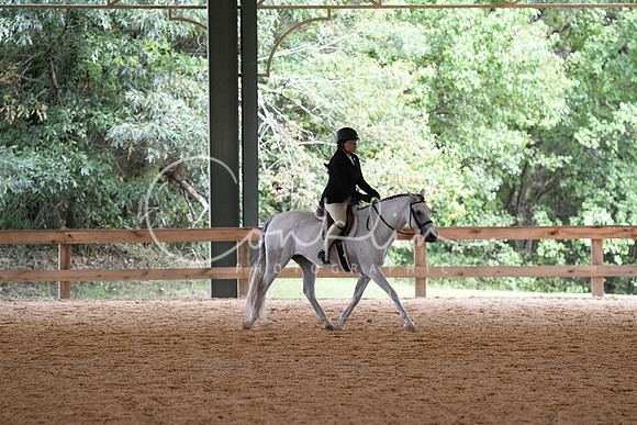 HSM_0091