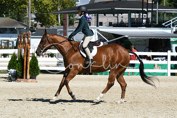 HSM_2657