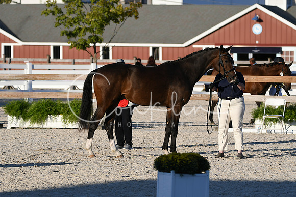 HSM_5598