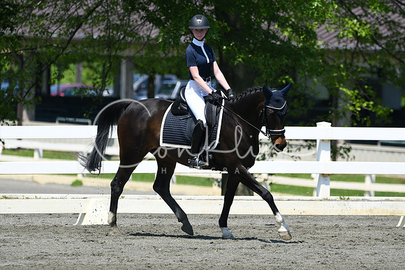 HSM_1446