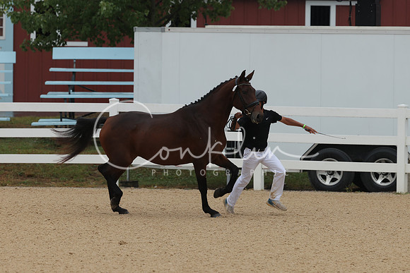 HLK_3764