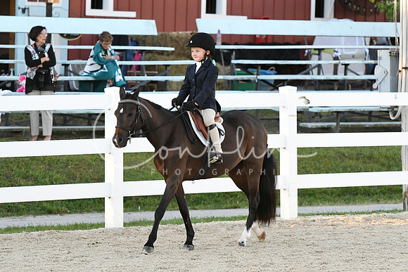 HSM_1609