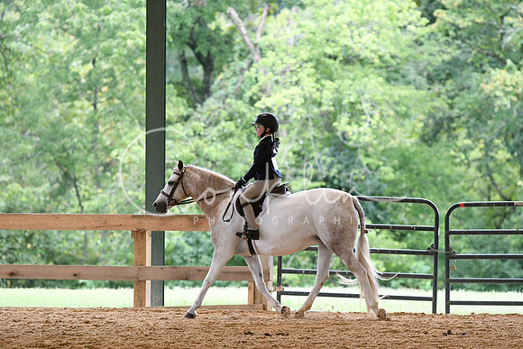 HSM_6331
