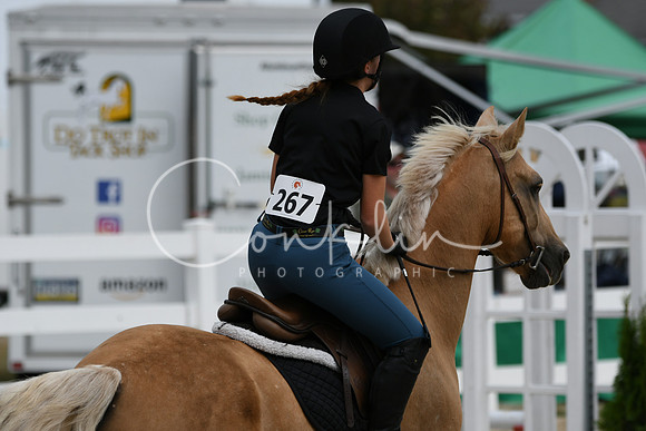 HSM_2379