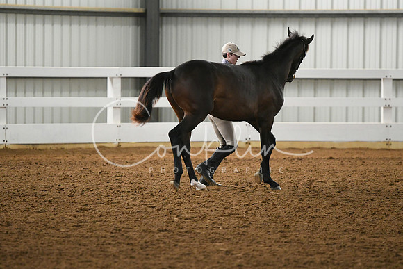 HSM_3884