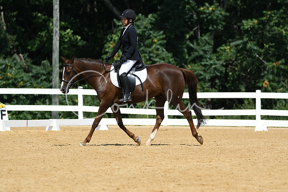 HSM_1199