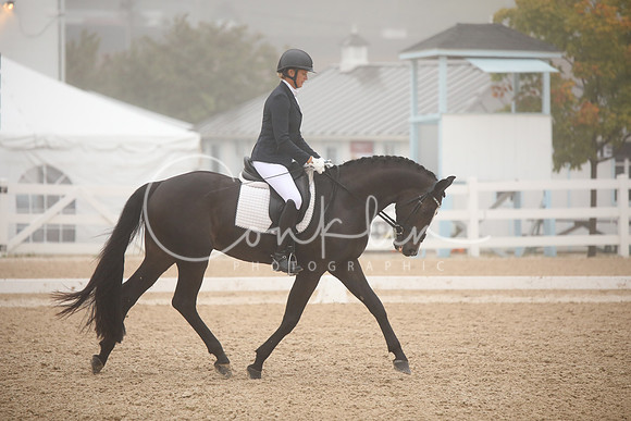BW240238