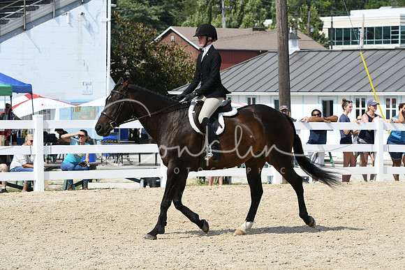 HSM_9313