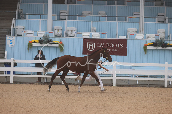 RJC30240