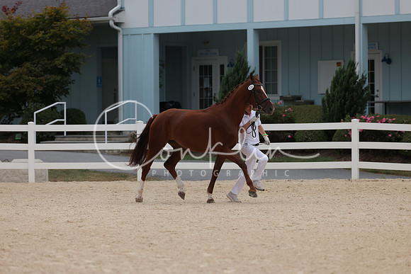 HLK_2216