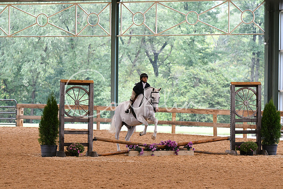 HSM_5908