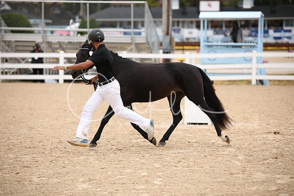 BW241495
