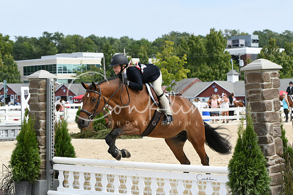 HSM_8602-1
