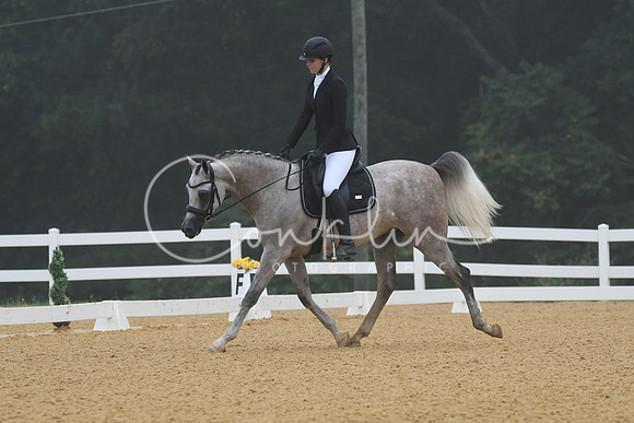 HSM_0661