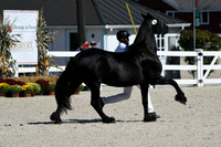 HSM_4712