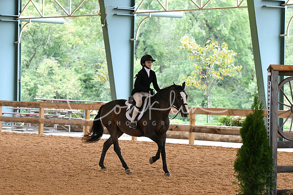 HSM_6273