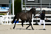 HSM_4665