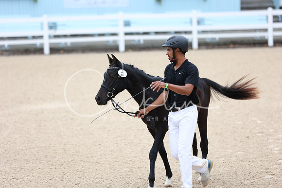 JRM_8706
