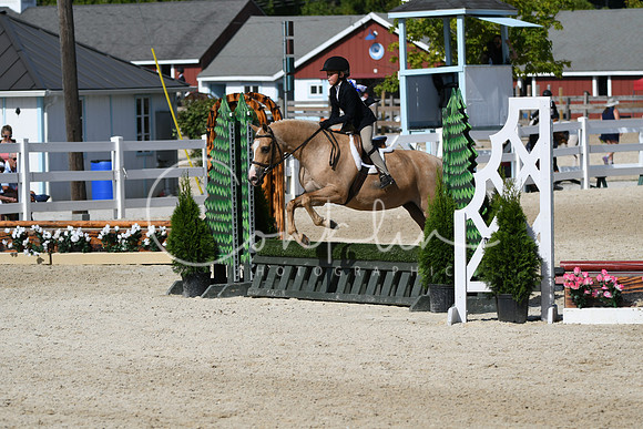 HSM_3832