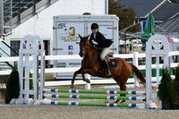 HSM_0996