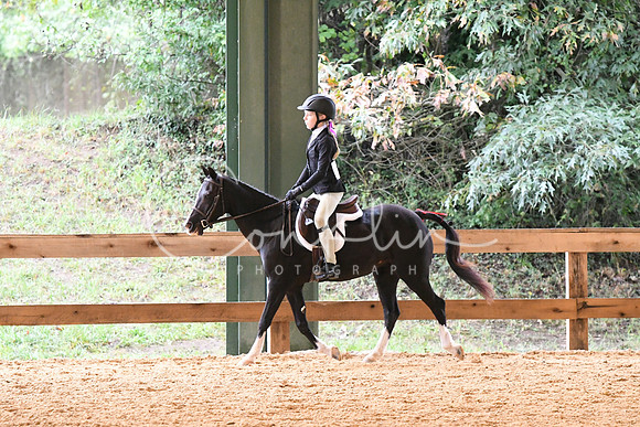 HSM_5313