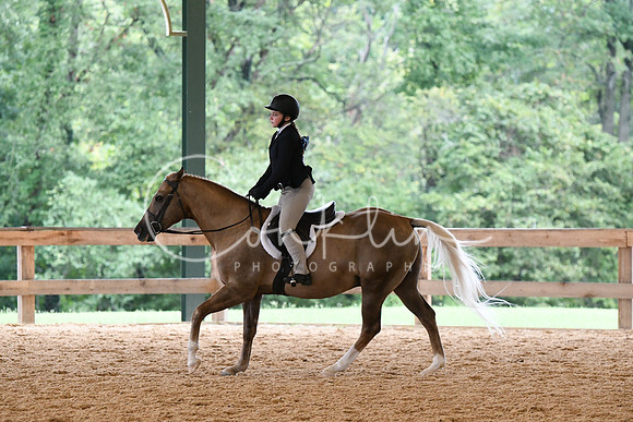 HSM_6346