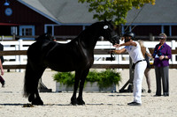 HSM_4702