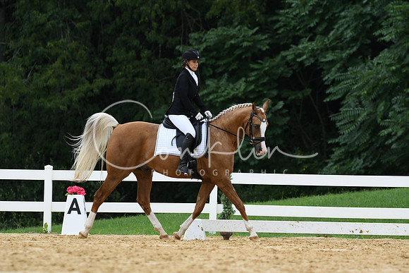HSM_0241