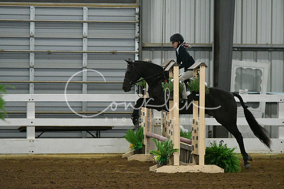 HSM_4653