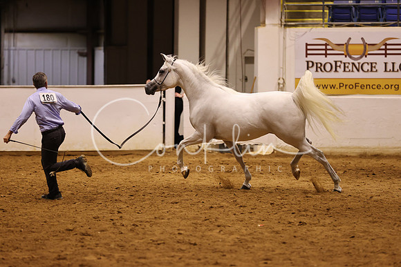RJC33317
