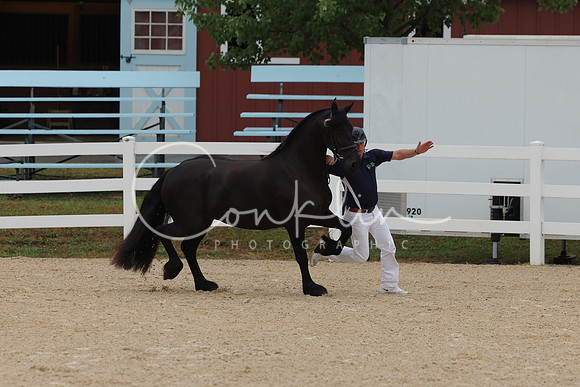 HLK_3321