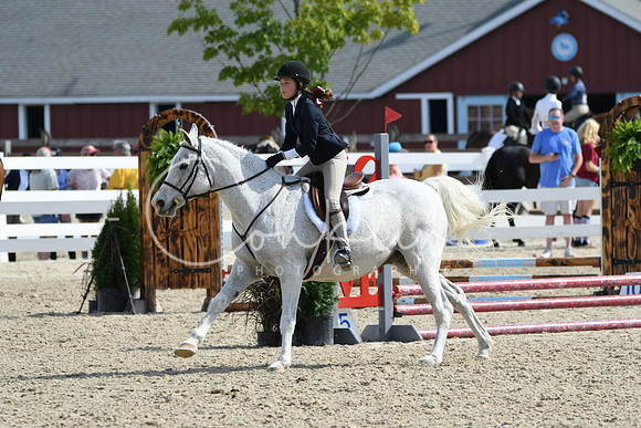 HSM_1834