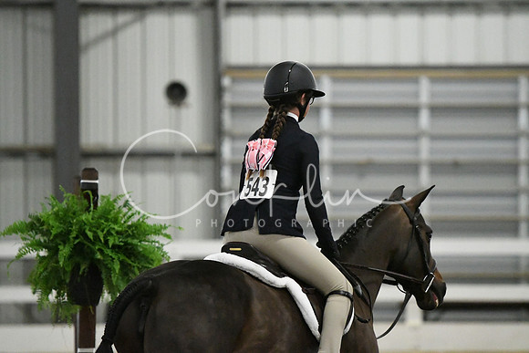 HSM_6389