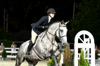 HSM_0631