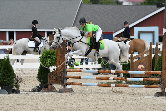 HSM_3290