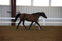 EI3A9349