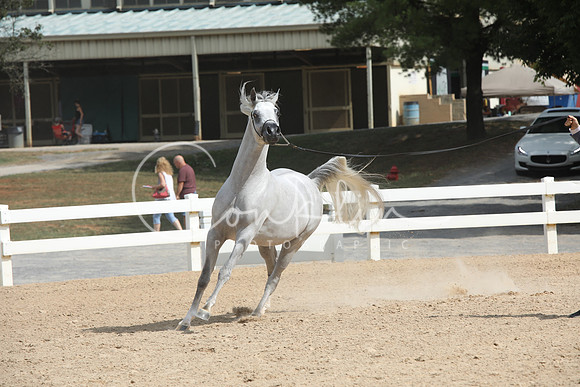 EI3A0122