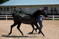 EI3A9699