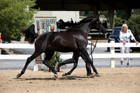 EI3A9676