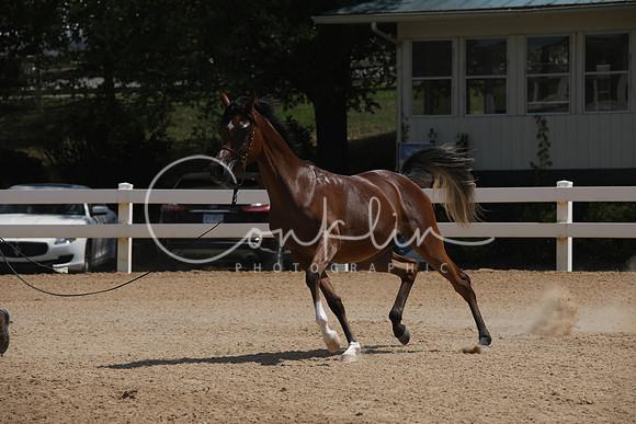 EI3A9638