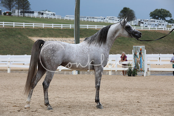 EI3A0179